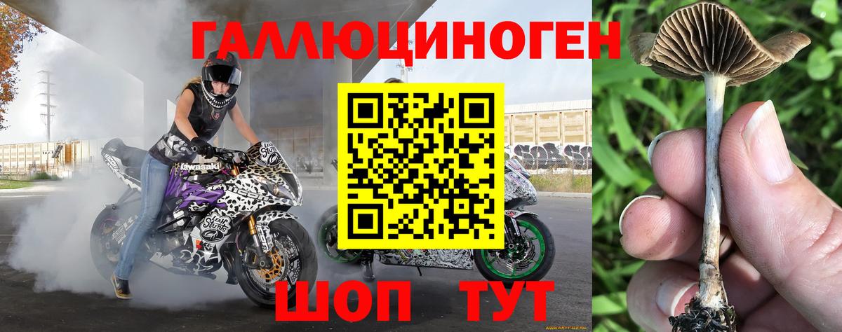 Псилоцибиновые грибы Magic Shrooms  Псилоцибиновые грибы ЛСД  Вход с VPN  Звенигород 